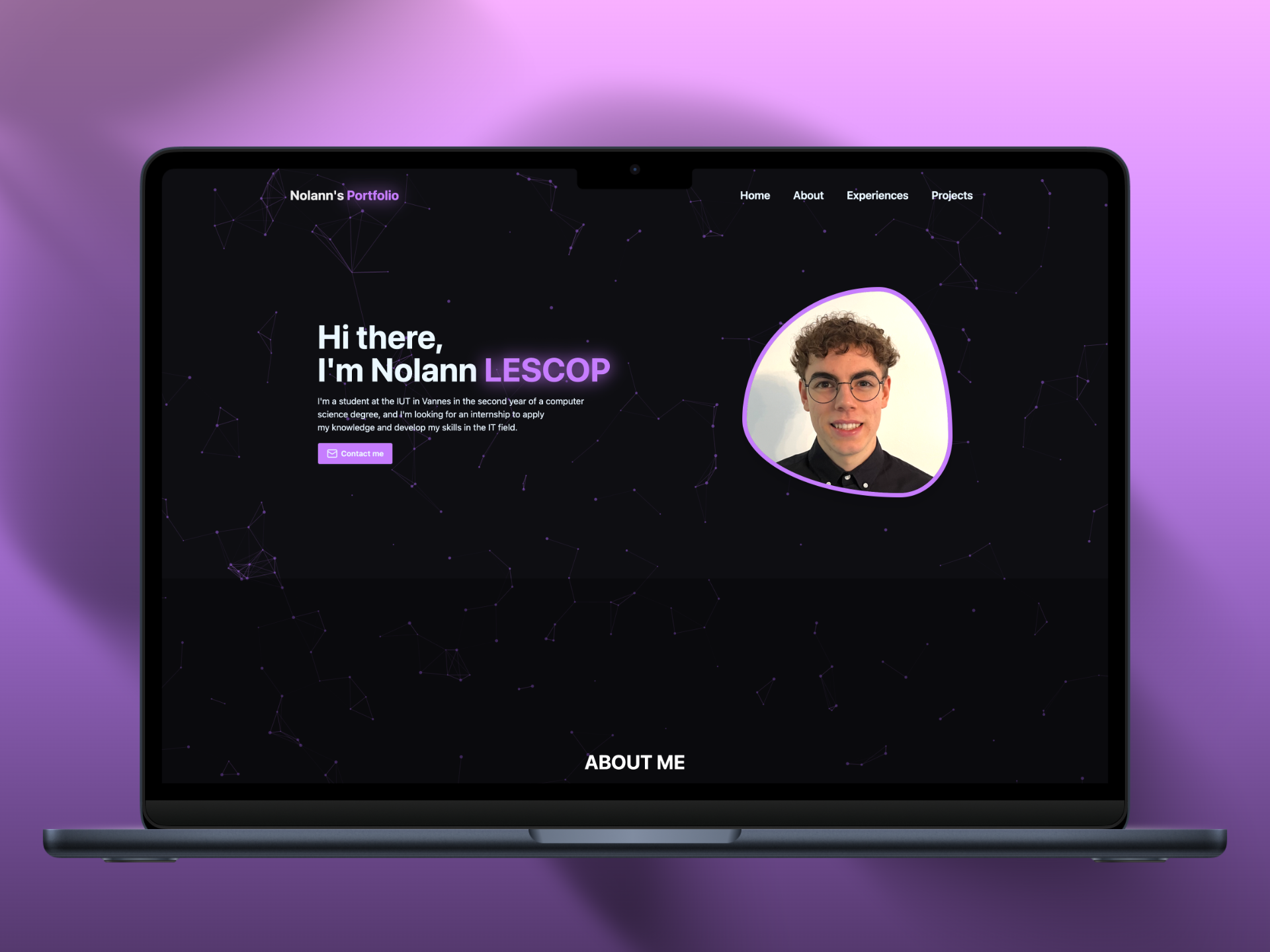 Ancien Portfolio React